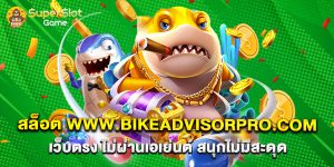 สล็อต www.bikeadvisorpro.com เว็บตรง ไม่ผ่านเอเย่นต์ สนุกไม่มีสะดุด